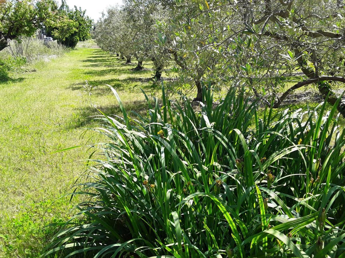 La Bonbonne En Provence Villa Travaillan Buitenkant foto